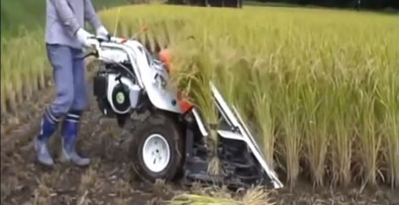Rice Reaper Binder Machine