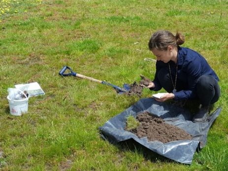Soil Health Evaluation