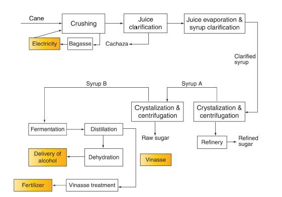 Chart of activities in a typical Sugar Cane plant