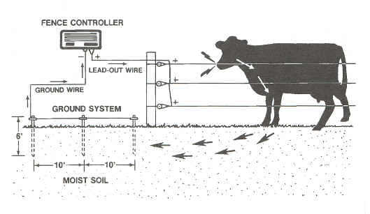 Solar Fence Or Electrical How To Choose Tractorexport Com